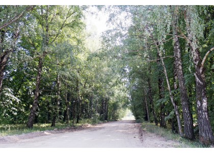 PARDUODAMAS KOTEDŽAS LUBINŲ g., TARANDĖJE SU 5 a ŽEMĖS SKLYPU